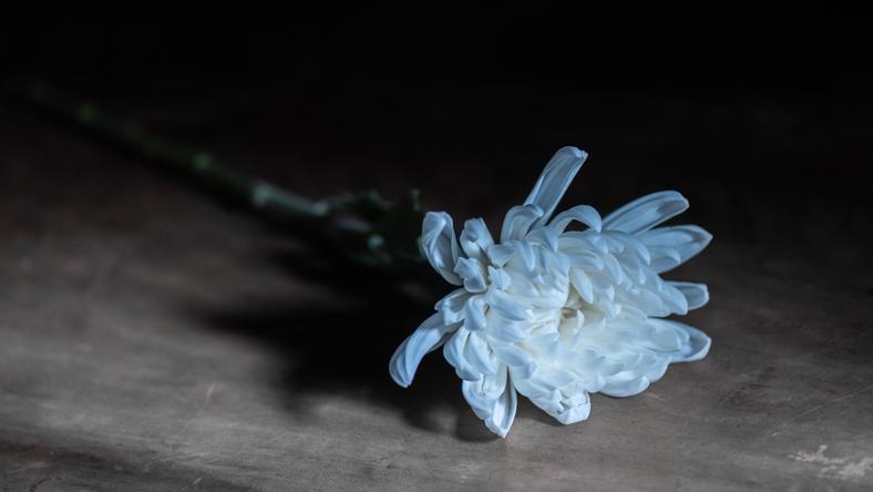 讣闻写多了,看待生命会不一样吗?